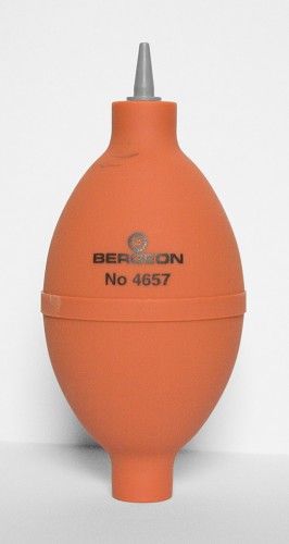Une poire orange de chez 'Bergeon'